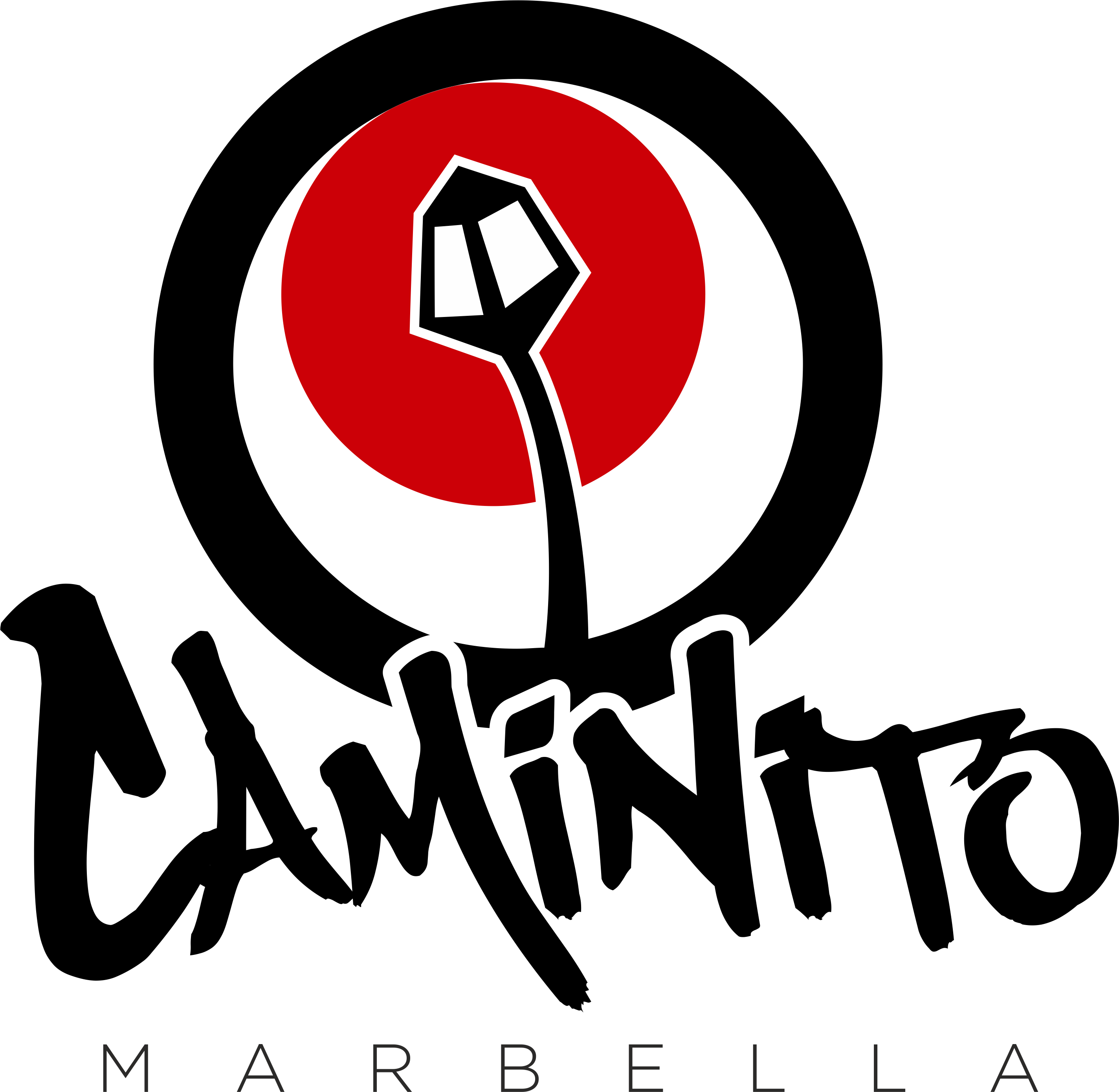 Pablo Ariel Dominguez Aberastury (Caminito Marbella)